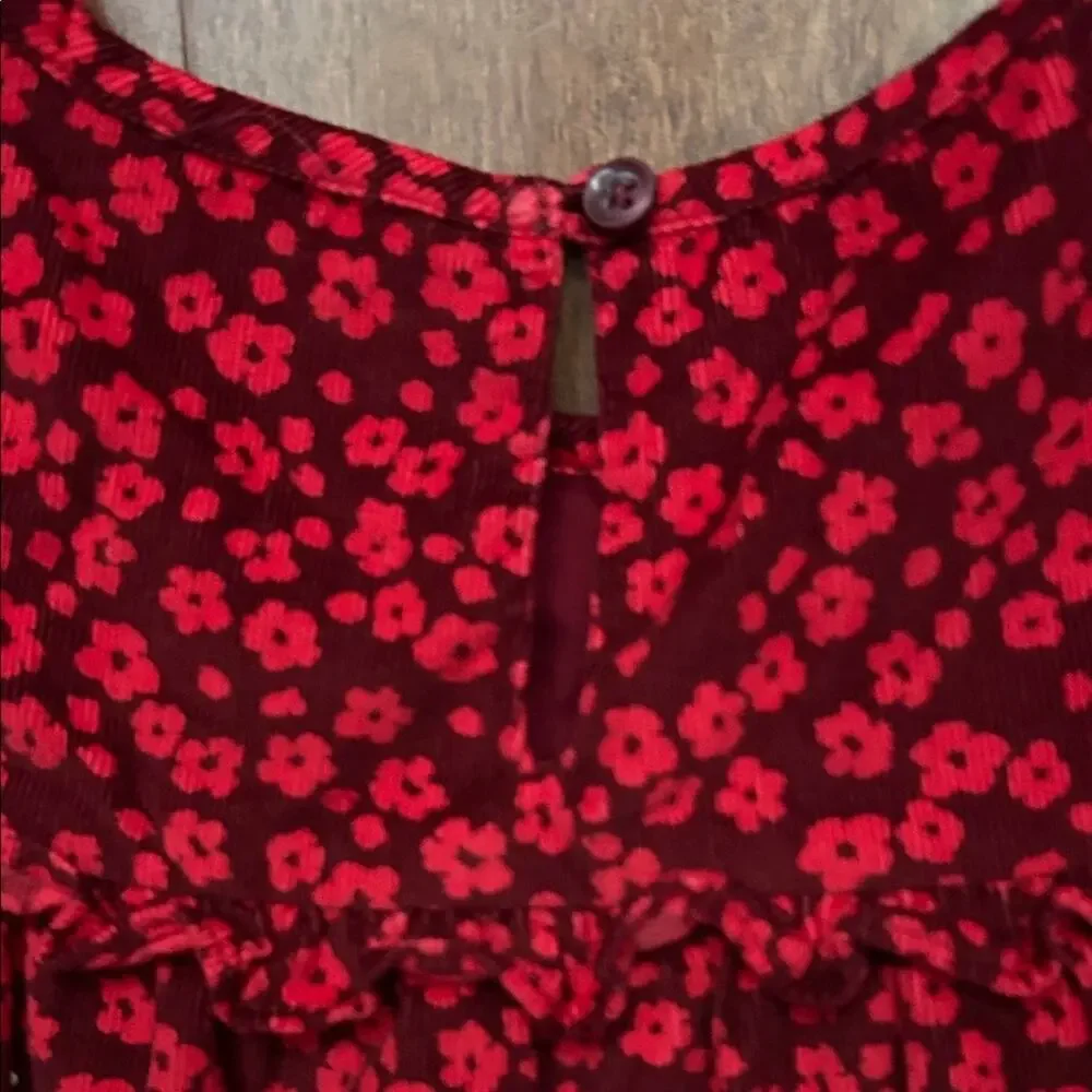 GAP Kid’s Red Floral Corduroy Tiered Dress, Perfect for Fall, Size 4T